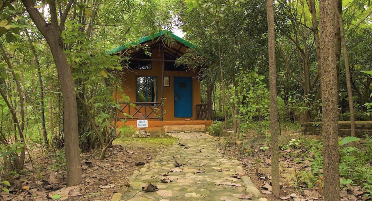 ホテル Camp Hornbill Corbett ラムナガル エクステリア 写真